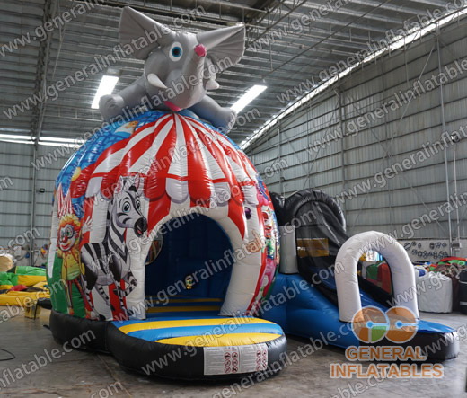 Circus disco dome with slide