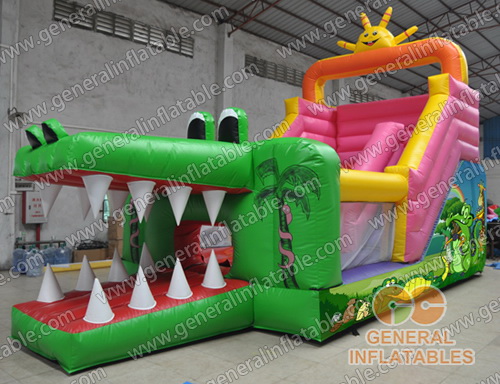 http://generalinflatable.com/images/product/gi/gs-205.jpg