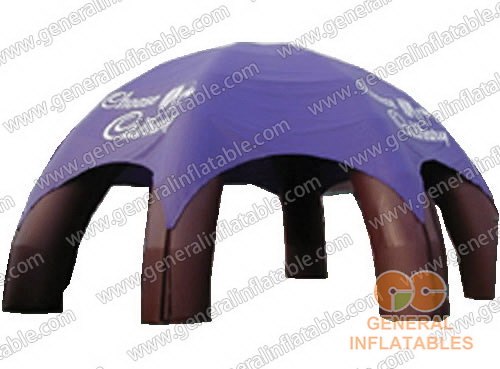 http://generalinflatable.com/images/product/gi/gte-2.jpg
