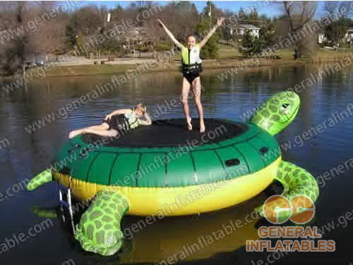 http://generalinflatable.com/images/product/gi/gw-43.jpg