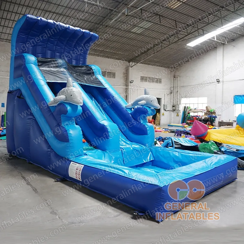 Dolphin water slide